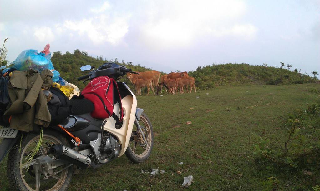 IMAG0216.jpg