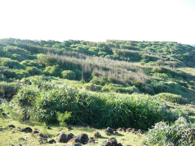 P1020185_resize-1.jpg