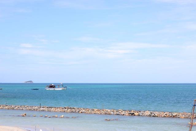 IMG_8516.jpg