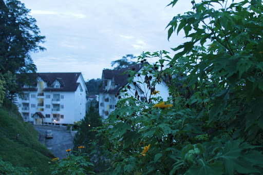 IMG_4057.JPG