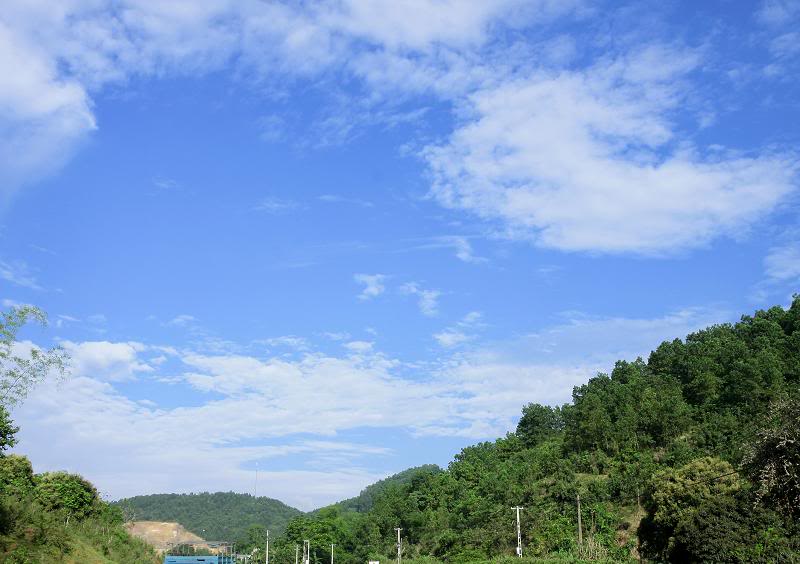_MG_5631.jpg