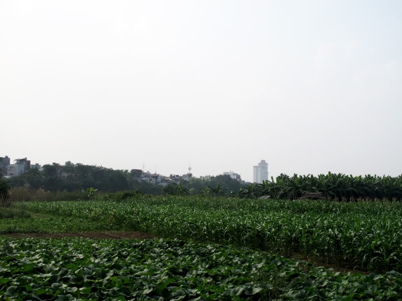 sh14.jpg
