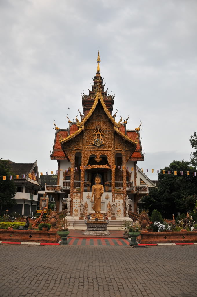 DSC_1137.jpg
