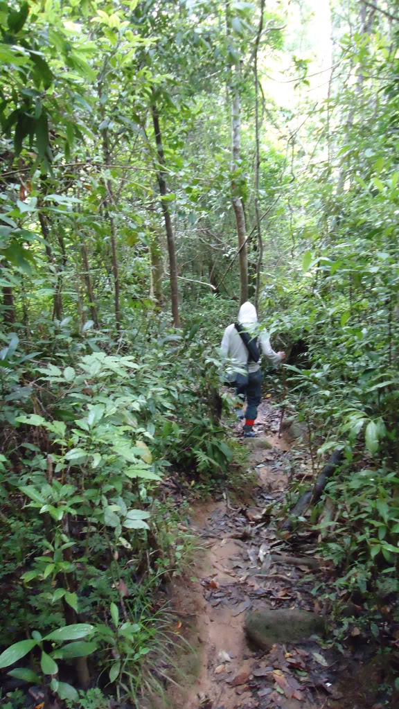 DSC01021.jpg