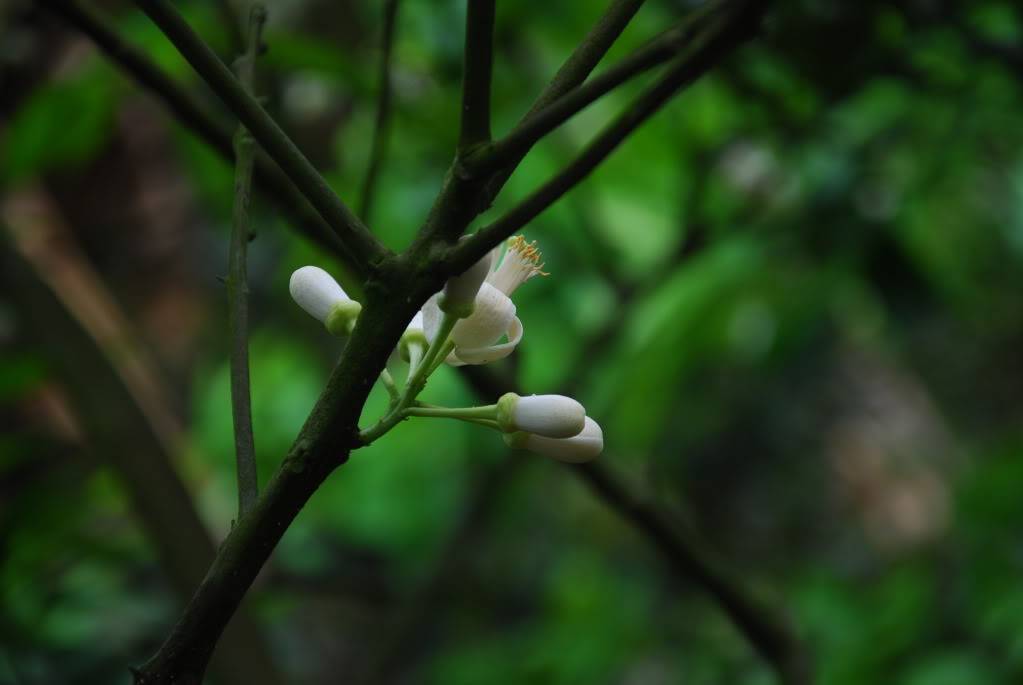 DSC_0082.jpg