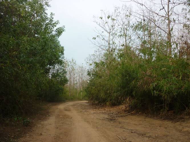 P1240644.jpg