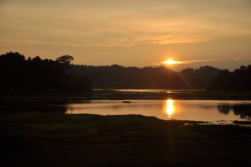 DSC_9317.jpg