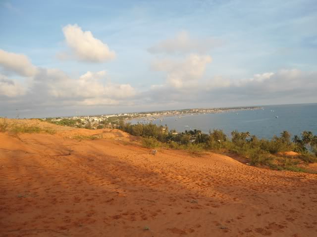 DSC02050.jpg