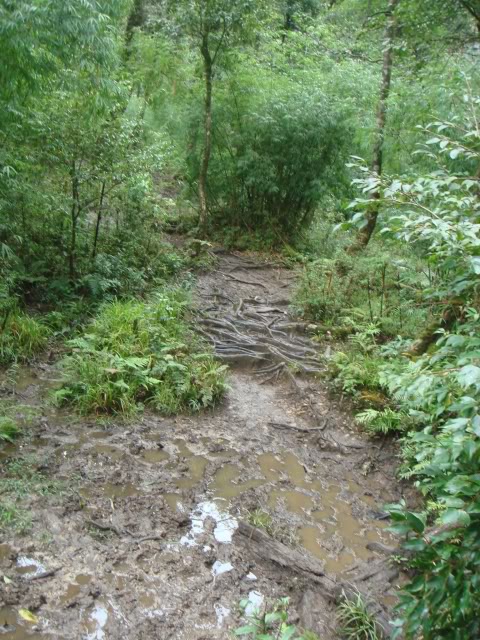 DSC05949.jpg