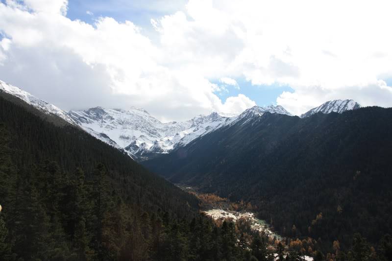 hoanglong28.jpg