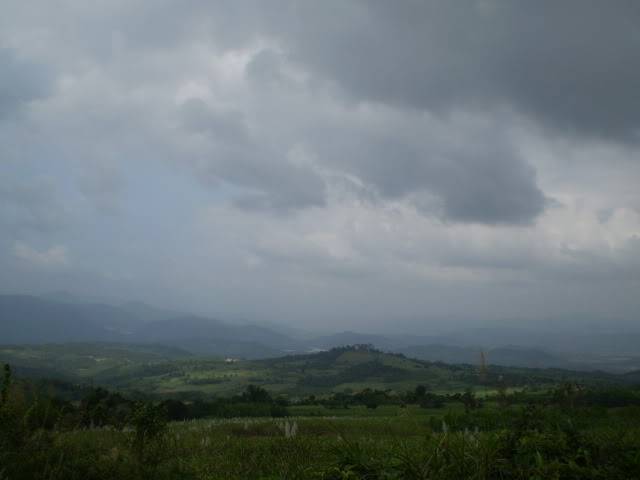 P1010150.jpg