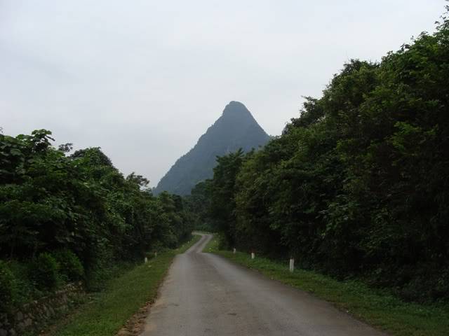 DSC08802.jpg