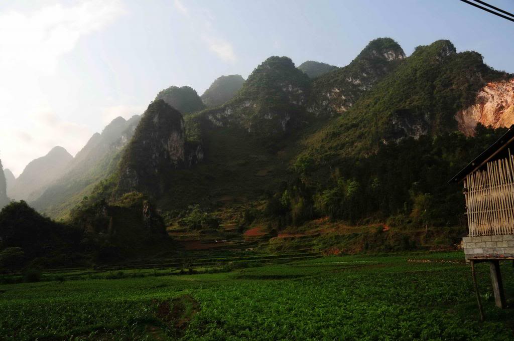 DSC_1063_zpsadadbf7a.jpg