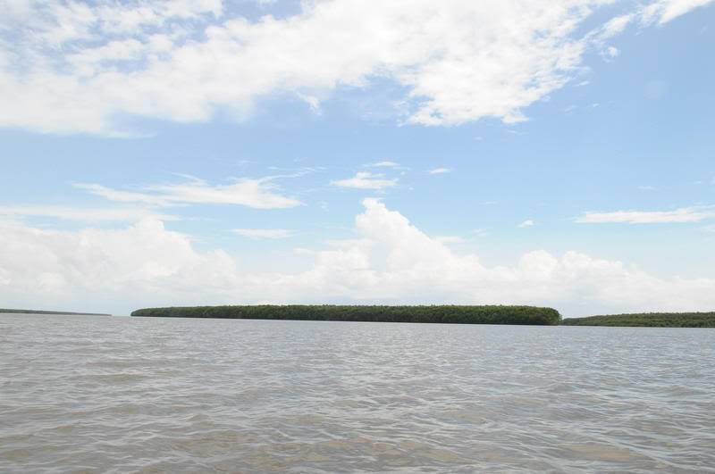 conongtrang.jpg