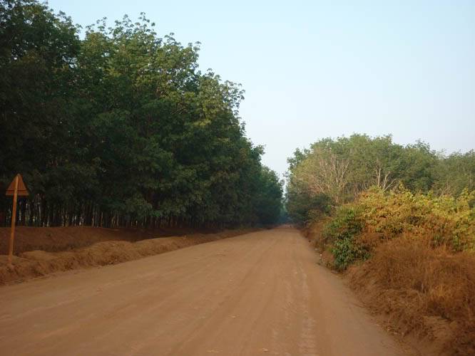 P1030235.jpg
