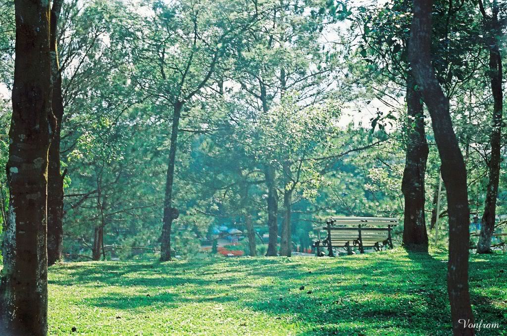 00028-04.jpg