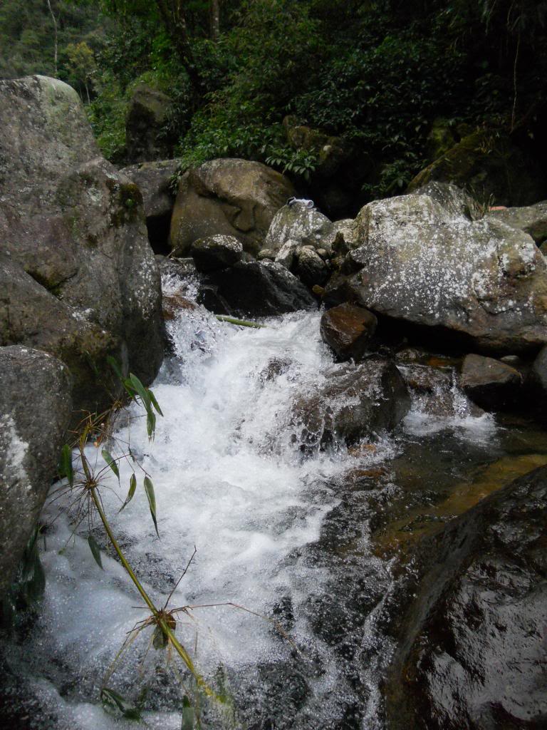 DSCN7747.jpg