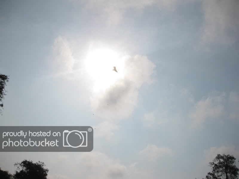 DongThapTET2011335.jpg
