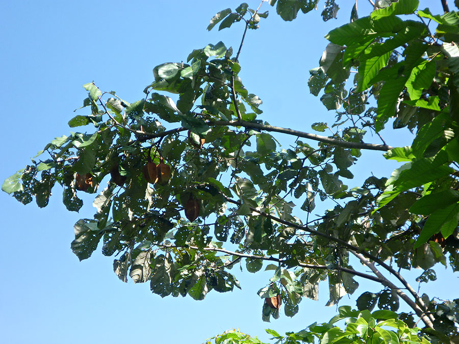 P1070247_zps53581e7d.jpg