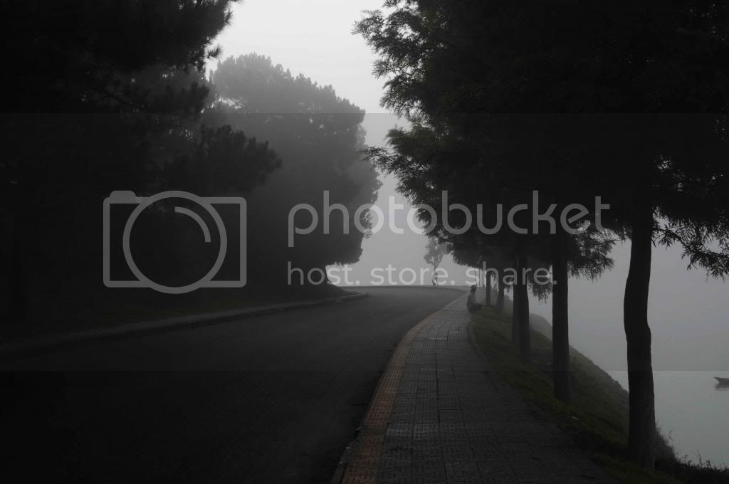 DSC_5569_zps16ab9df1.jpg