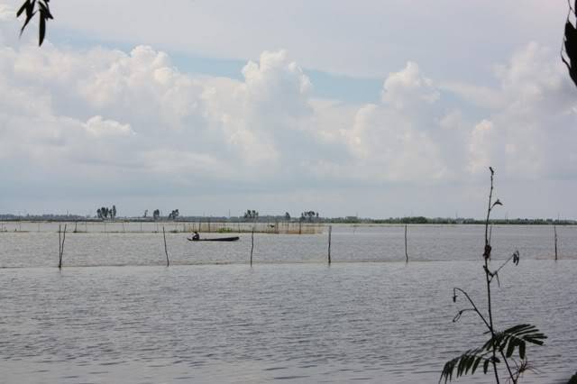 dongthap47.jpg