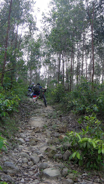 7137667007_acb0152763_z.jpg