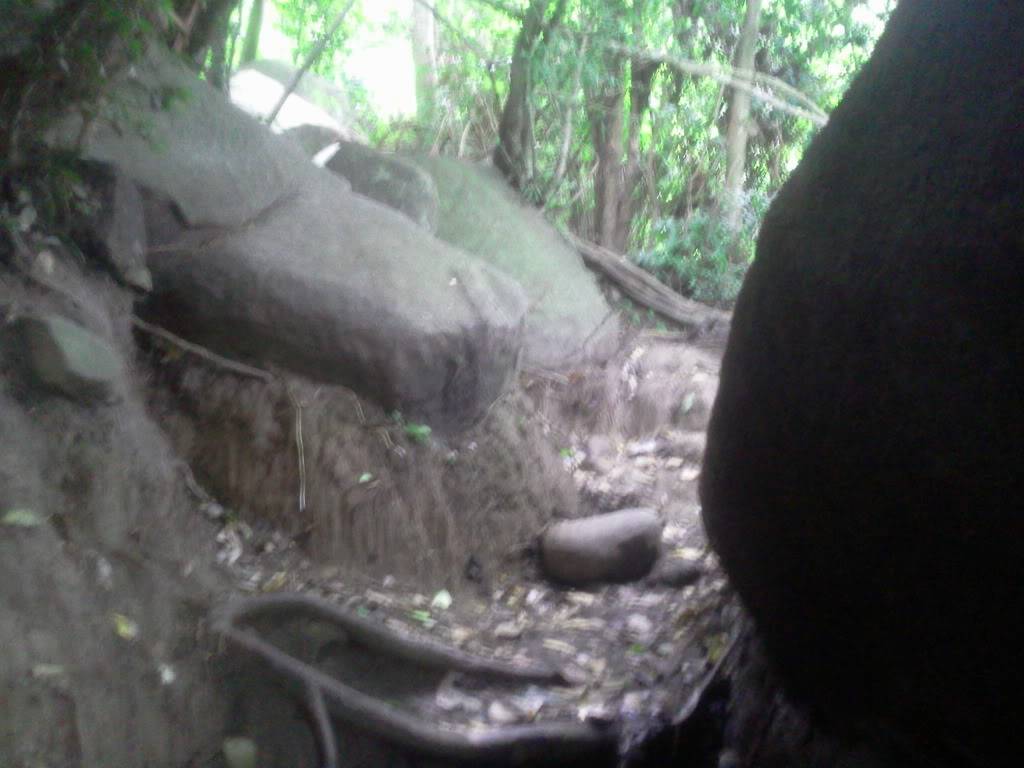 Photo0747.jpg