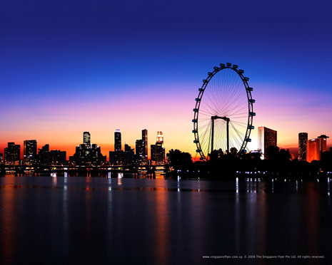 singaporebirdeye15482.jpg