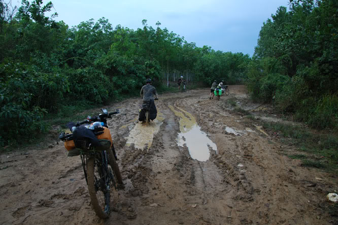 DSC_3981.jpg