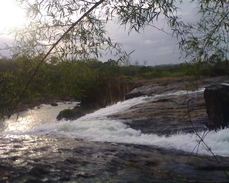 BIMG0178.jpg