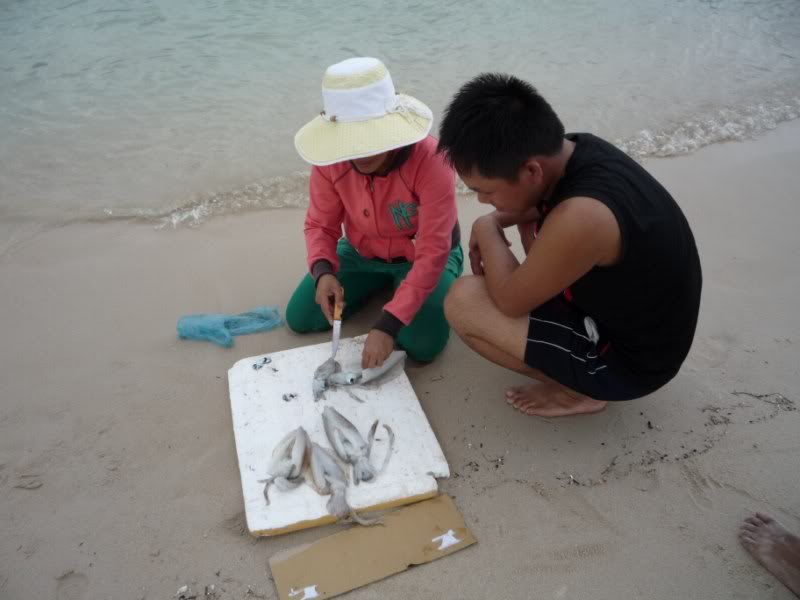 P1010581800x600.jpg