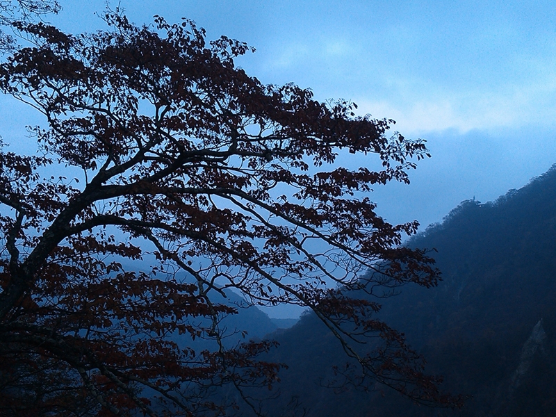 nikko6.jpg