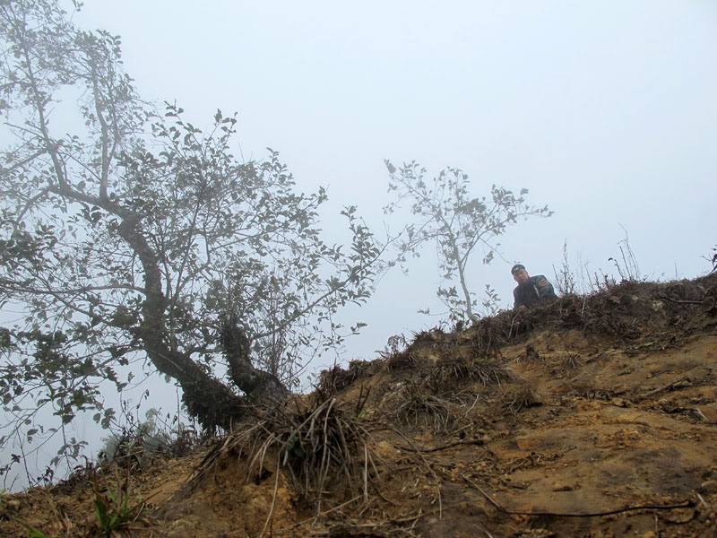HongNgai2011577.jpg