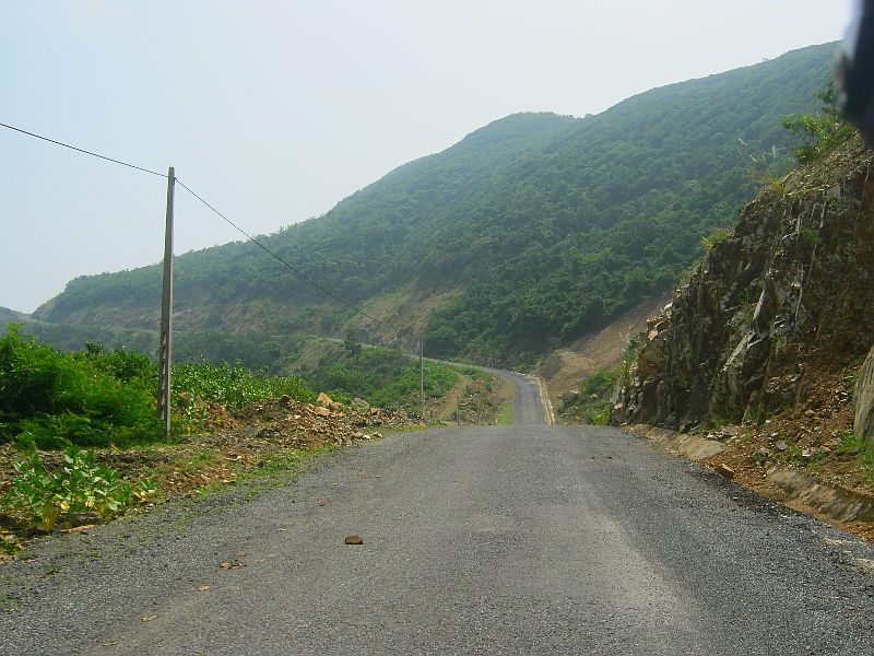 IMG_7890.jpg