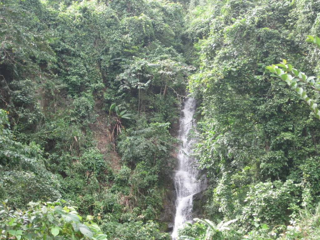 IMG_5215.jpg