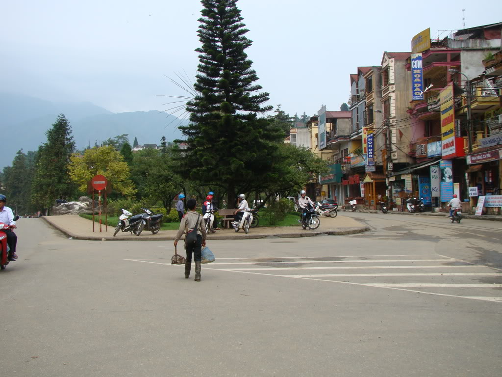 DSC09372.jpg