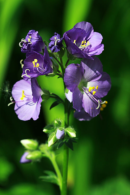 4638991030_b1f83d52c6_o.jpg
