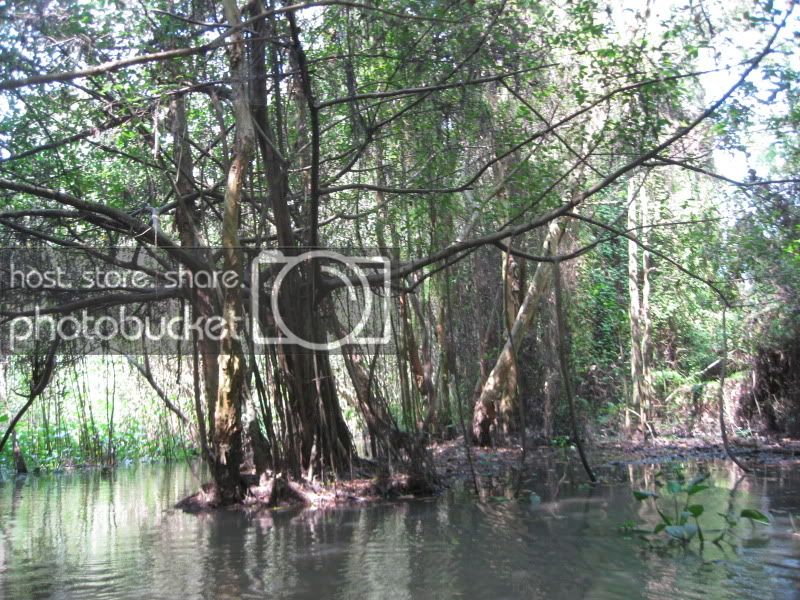 DongThapTET2011210.jpg