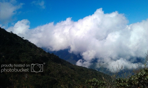 IMAG0944_zps29ceef01.jpg