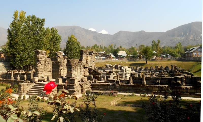 DSCN4929-1.jpg