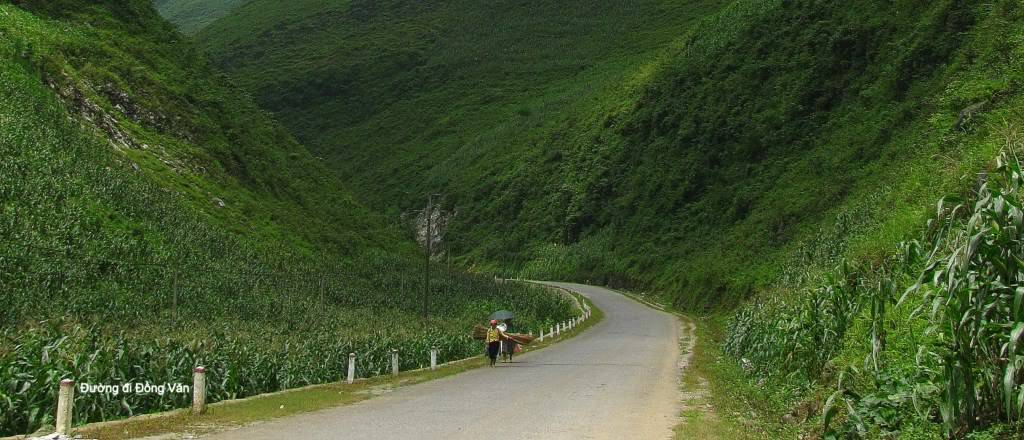 ngingVn-0051024x768.jpg
