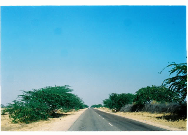 BK603.jpg