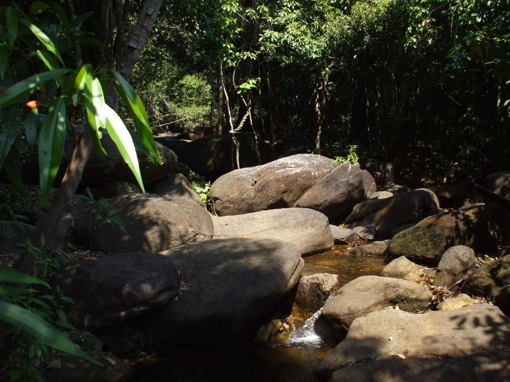 DSCF5109.jpg