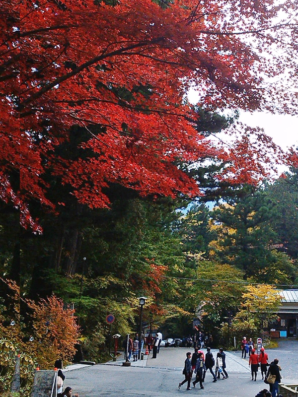nikko22.jpg