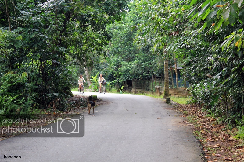 IMG_7725_zps29029dd2.jpg
