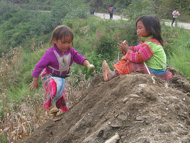 IMG_3137_01.jpg