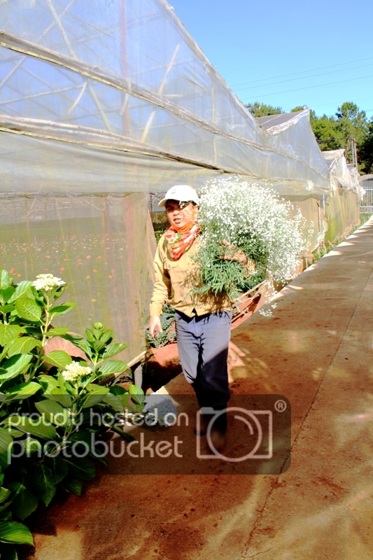 IMG_3026_zpsa80ddbfb.jpg