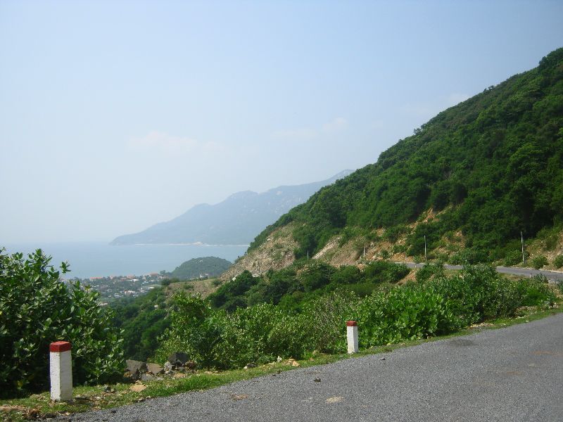 IMG_7950.jpg