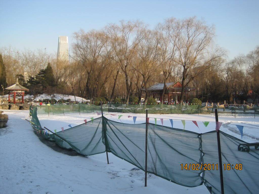 IMG_6037.jpg