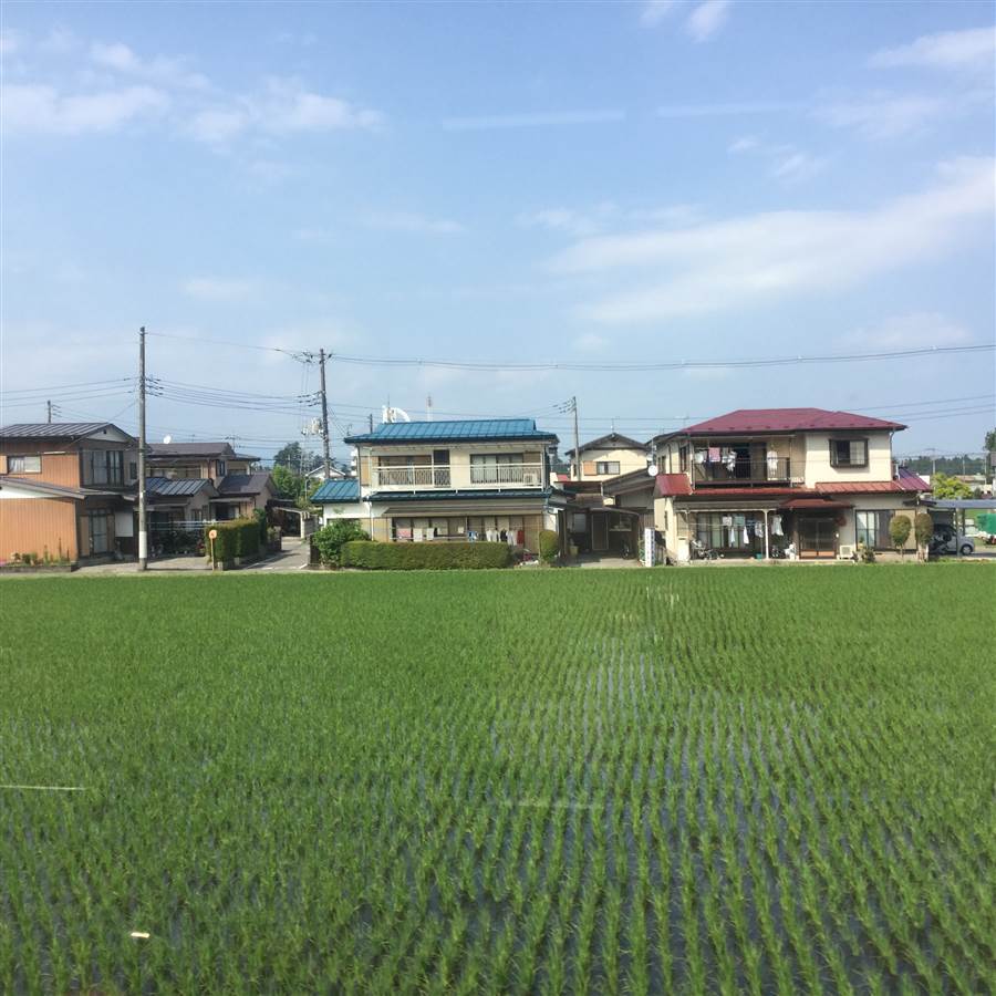 resized_IMG_9535_zpszqi78t2q.jpg